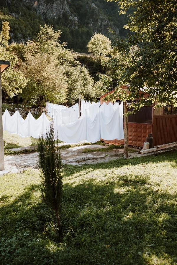 'Gurra Family' Guesthouse ثيث المظهر الخارجي الصورة